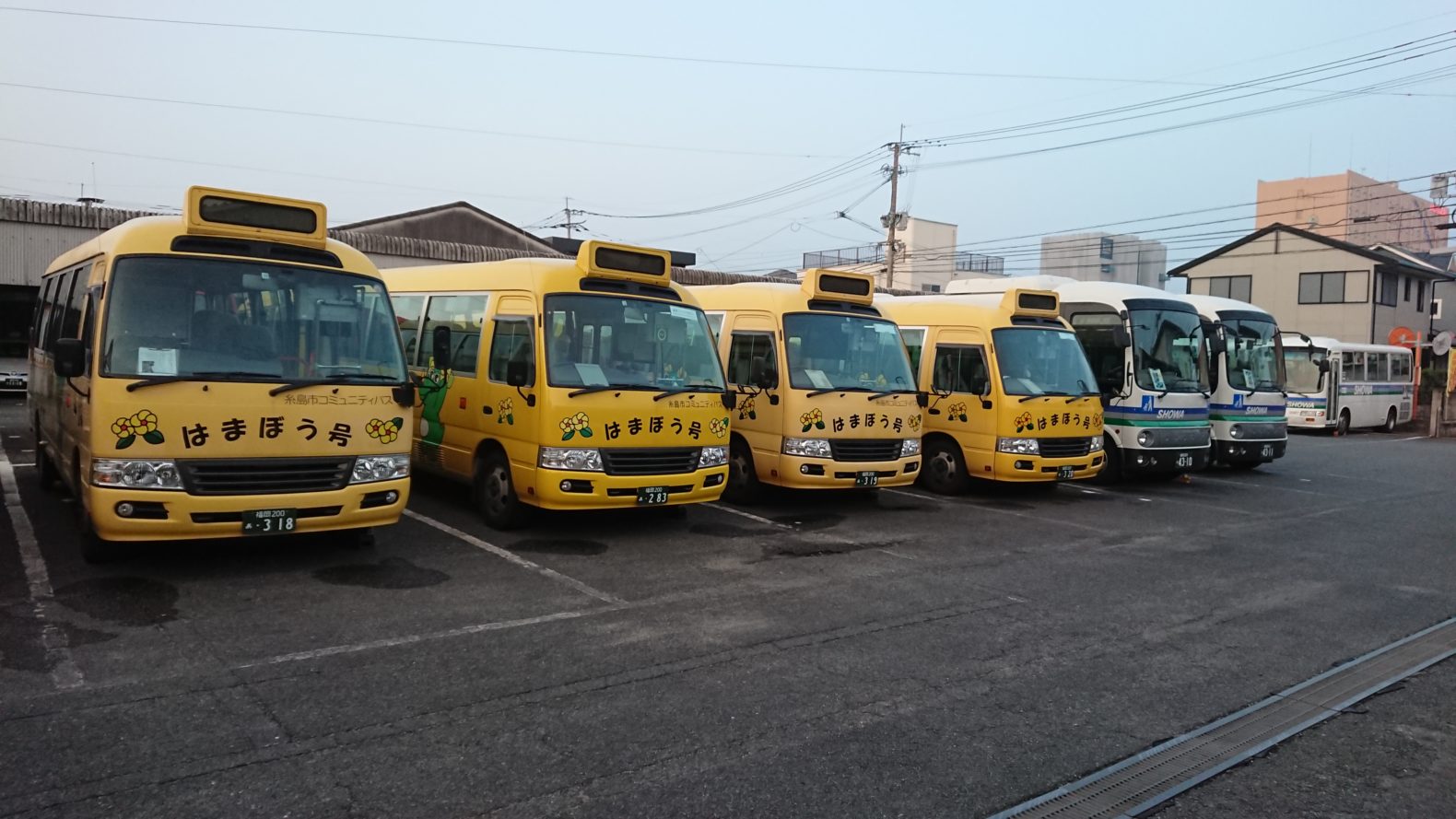 糸島市コミュニティバス はまぼう号 糸島のおでかけスポットを紹介するよ